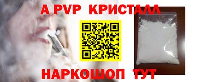 спиды Донской
